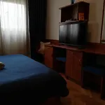 Happy Brothers - Center Of